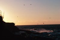 010309_0775_0770_nsls.jpg