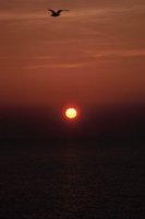 010309_0775_0760_nsls.jpg