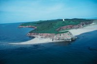 010309_0775_0730_nsls.jpg