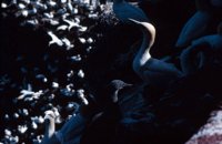 010309_0775_0729_nsls.jpg