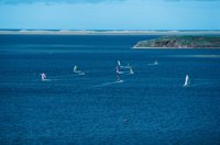 010309_0775_0719_nsls.jpg