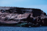 010309_0775_0679_nsls.jpg