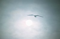 010309_0775_0665_nsls.jpg