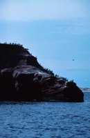 010309_0775_0637_nsls.jpg