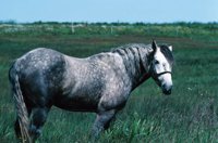 010309_0775_0633_nsls.jpg