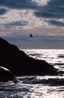 010309_0775_0612_nsls.jpg