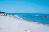 010309_0775_0603_nsls.jpg