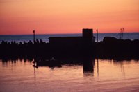 010309_0775_0586_nsls.jpg