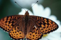 010309_0775_0575_nsls.jpg