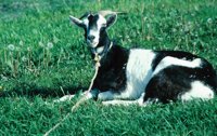 010309_0775_0555_nsls.jpg