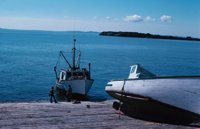 010309_0775_0549_nsls.jpg