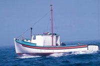 010309_0775_0548_nsls.jpg