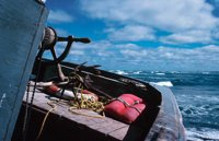 010309_0775_0547_nsls.jpg