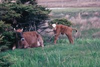 010309_0775_0541_nsls.jpg