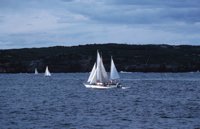 010309_0775_0491_nsls.jpg