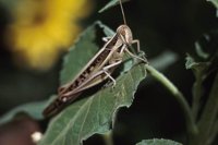 010309_0775_0490_nsls.jpg