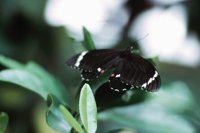 010309_0775_0489_nsls.jpg