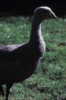 010309_0775_0447_nsls.jpg