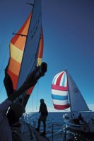 010309_0775_0384_nsls.jpg