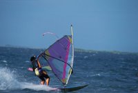 010309_0775_0382_nsls.jpg