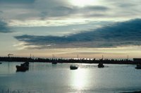 010309_0775_0350_nsls.jpg