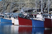 010309_0775_0329_nsls.jpg