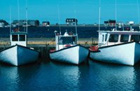 010309_0775_0258_nsls.jpg