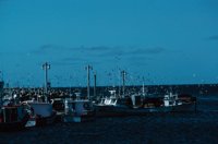 010309_0775_0234_nsls.jpg
