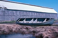 010309_0775_0198_nsls.jpg