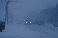 010309_0775_0129_nsls.jpg