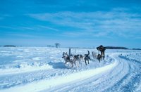 010309_0775_0122_nsls.jpg