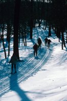 010309_0775_0071_nsls.jpg