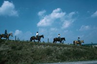 010309_0775_0058_nsls.jpg