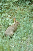 010309_0775_0027_nsls.jpg