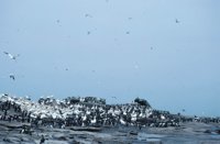 010309_0775_0021_nsls.jpg