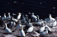 010309_0775_0018_nsls.jpg