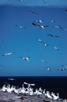 010309_0775_0016_nsls.jpg