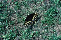 010309_0775_0013_nsls.jpg