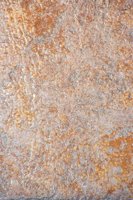 001109_0549_0381_nsls.jpg