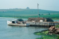 001109_0549_0317_nsls.jpg