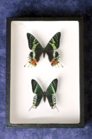 001004_0524_0024_nsls.jpg