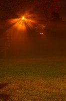001004_0523_0002_lsls.jpg