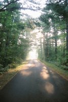 000920_0502_0057_nsls.jpg