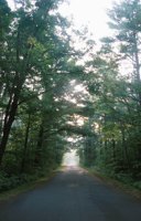 000920_0502_0053_nsls.jpg