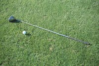 000919_0501_0052_nsls.jpg