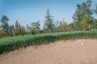 000919_0501_0046_nsls.jpg