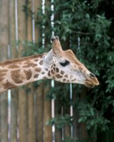 000909_0491_0050_nsls.jpg