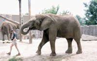 000909_0491_0042_nsls.jpg
