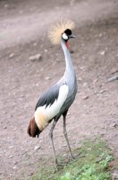 000909_0491_0014_nsls.jpg
