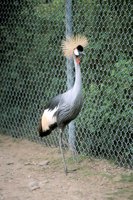 000909_0491_0013_nsls.jpg
